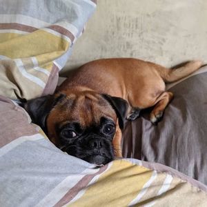 Meet your Posher, Mekk